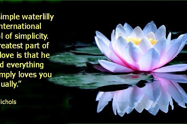 317  Water lilly Simplicty