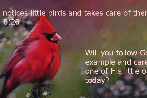 Cardinal meme Jesus Love