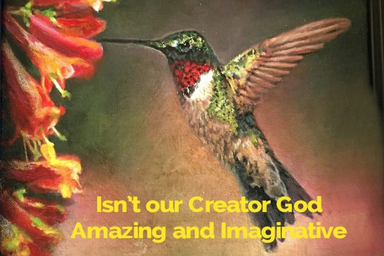 Hummingbird 2015 gift to Mike