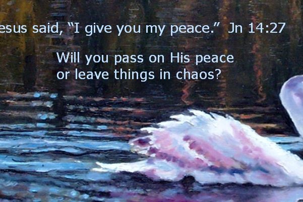 Swan Solo  peace  meme 3