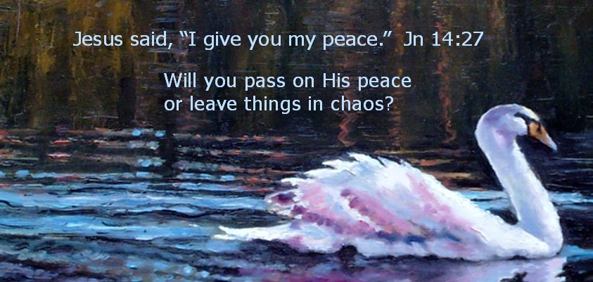 Swan Solo  peace  meme 3