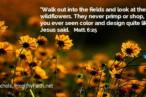 Wildlflowers, Jesus said 2-5-16