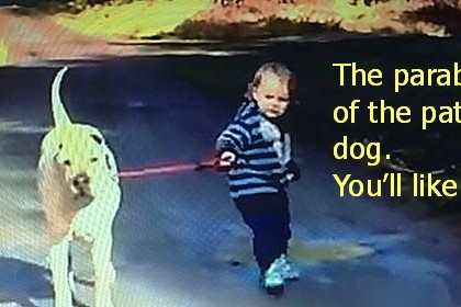 306  Patient dog and child