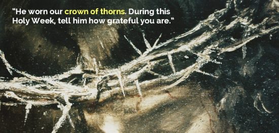 crown-of-thorns