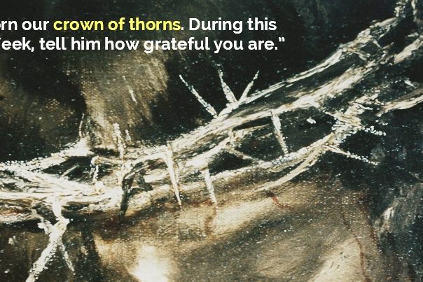 crown-of-thorns