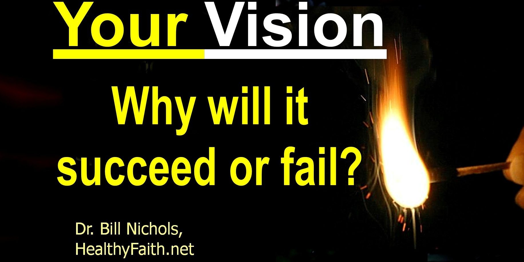 Why will your visioin succeed or fail