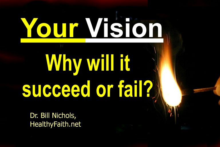 Why will your visioin succeed or fail