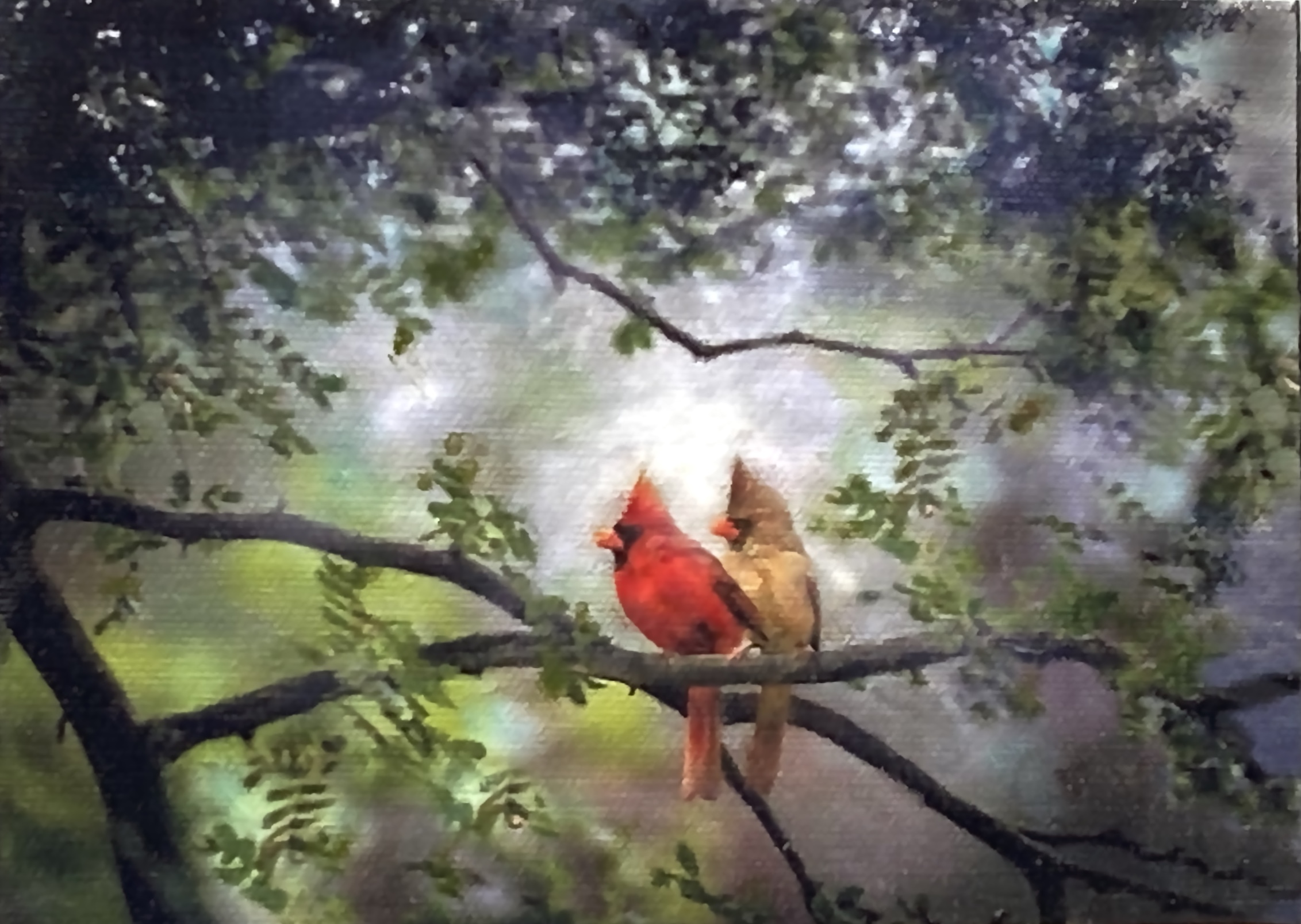 Cardinals-Watching-Daybreak