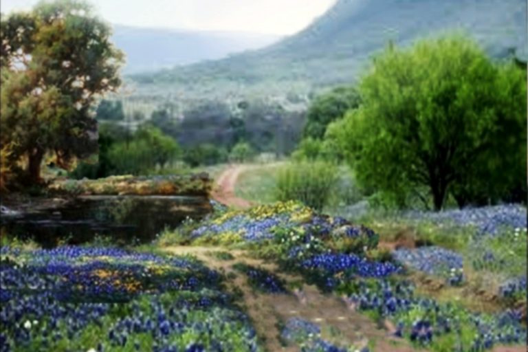 #1912 Hill Country road by pond 8X10