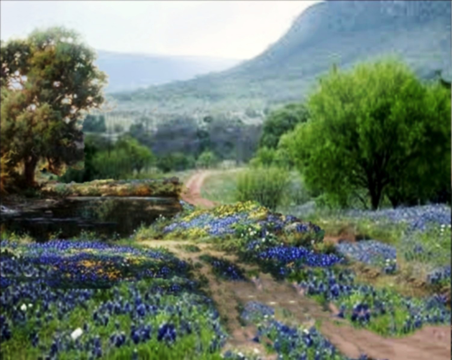 #1912 Hill Country road by pond 8X10