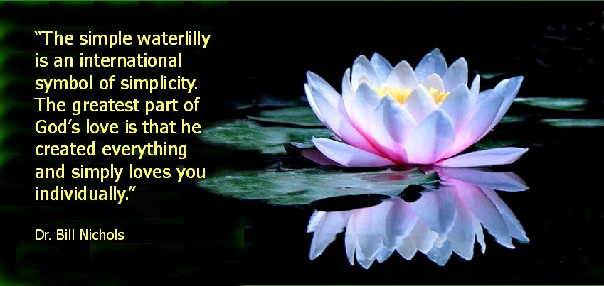 317  Water lilly Simplicty