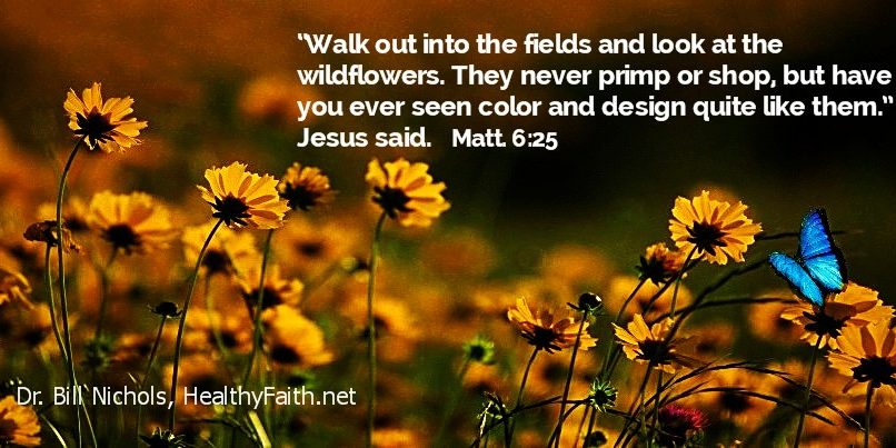 Wildlflowers, Jesus said 2-5-16