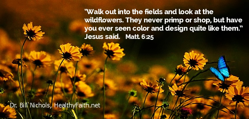 Wildlflowers, Jesus said 2-5-16