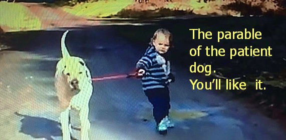 306 Patient dog and child