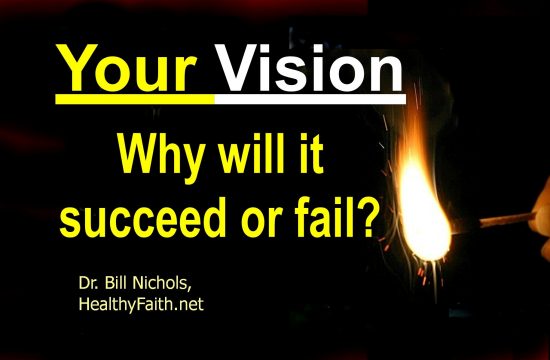 Why will your visioin succeed or fail
